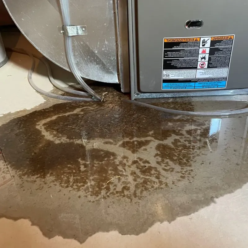 Pipe Burst and Leak Restoration in Shawnee County, KS