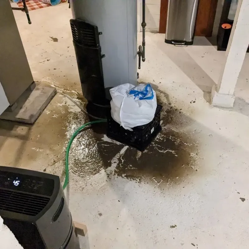 Sewage Backup Cleanup Service in Shawnee County, KS